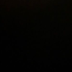 Meet your Posher, Gus